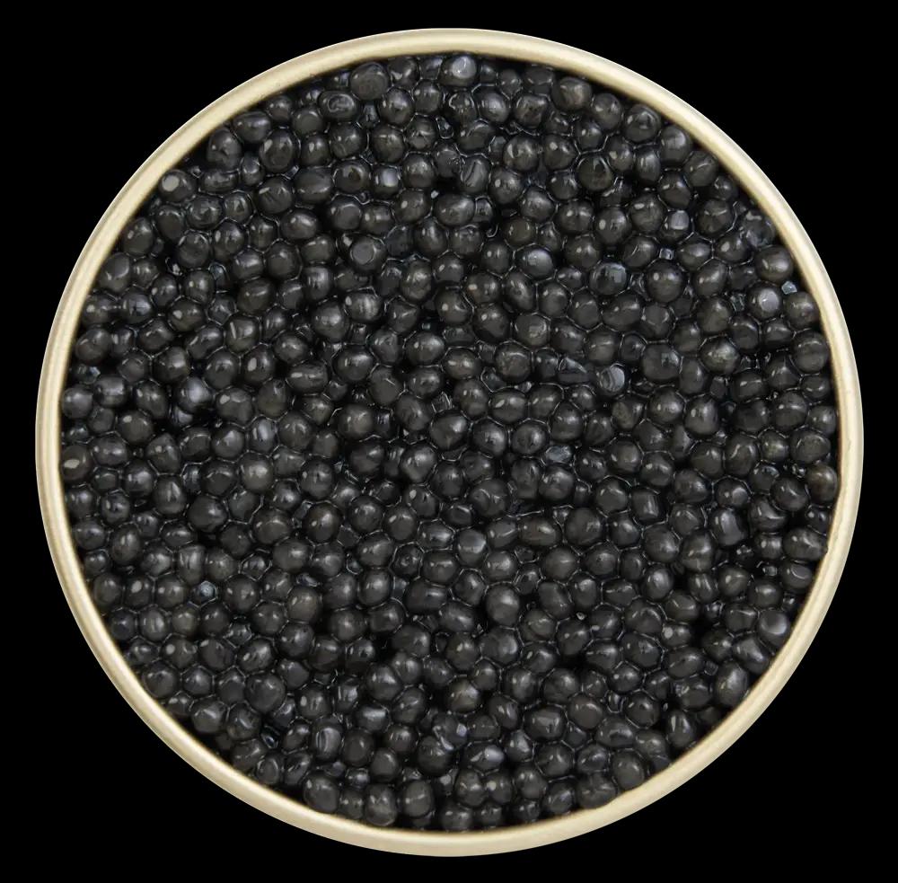 Baeri Black