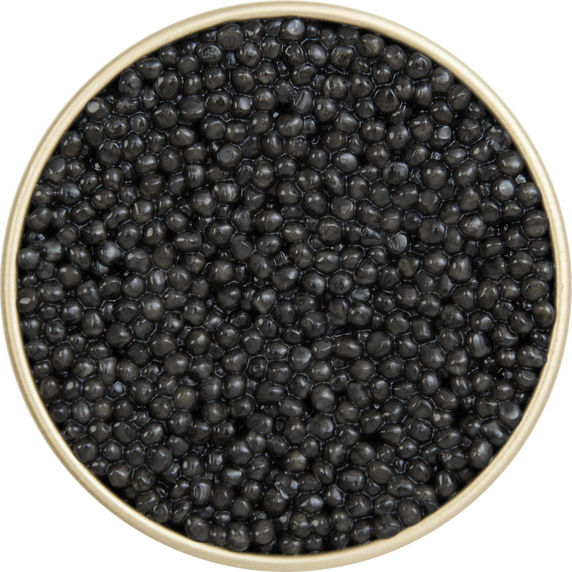 Baeri Black