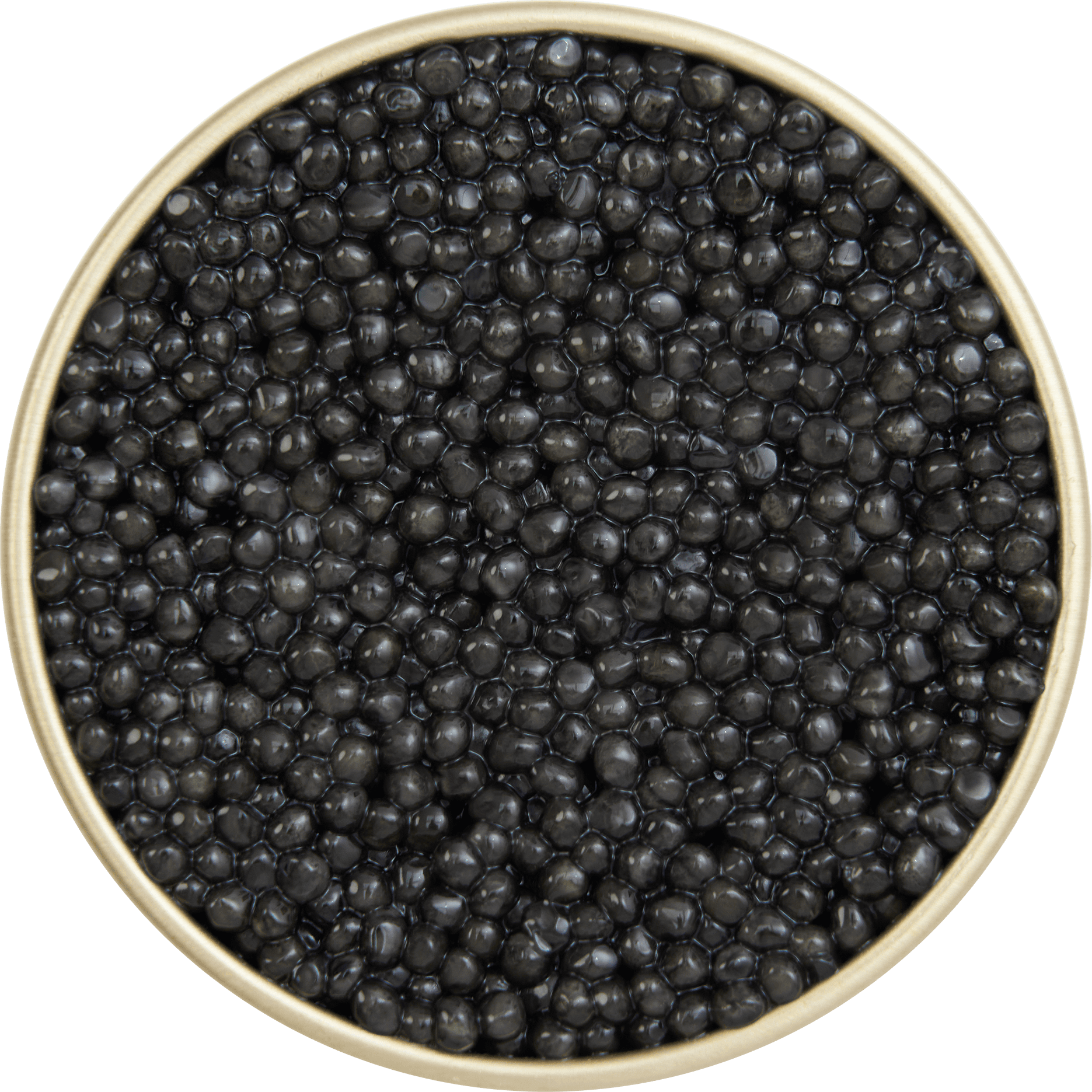 Baeri White - Matured Caviar